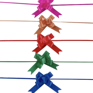 Moño de Regalo Liso